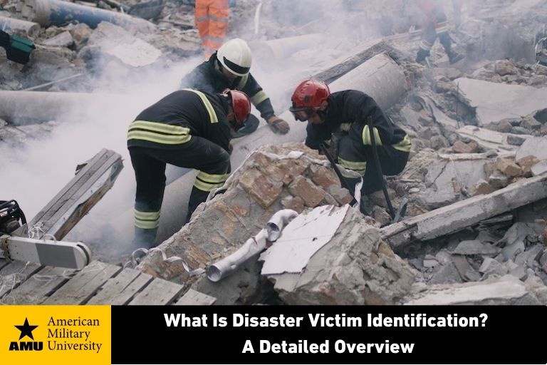disaster-victim emergency personnel conducting disaster victim identification