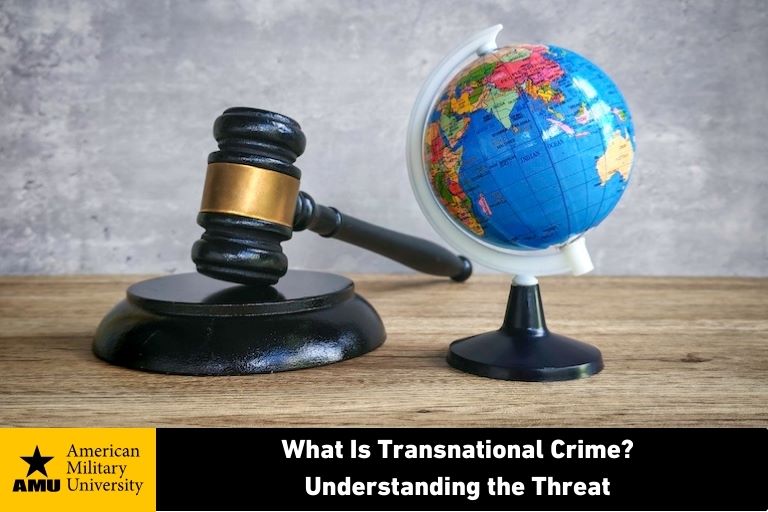 gavel and globe